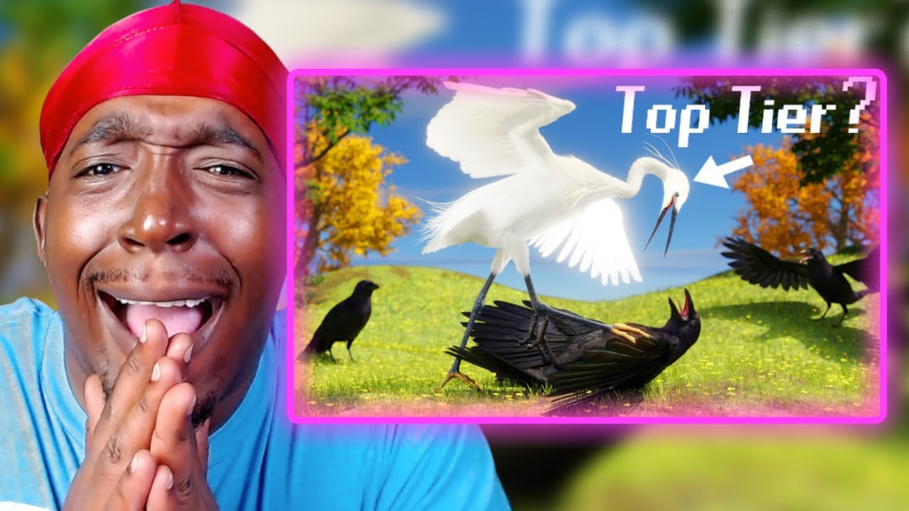 The Most INSANE Bird Tier List!