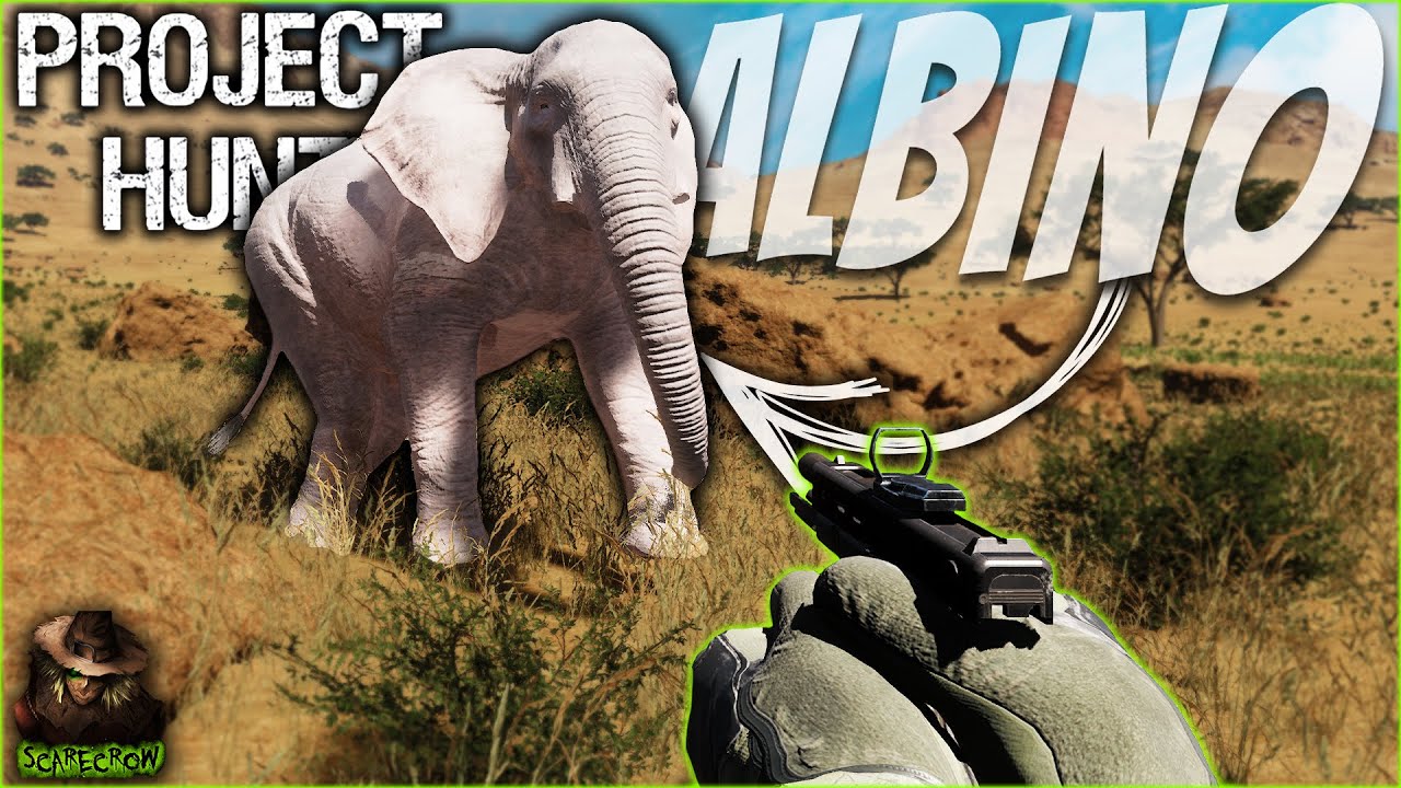Hunting An ALBINO ELEPHANT With A .22 Caliber Glock... Project Hunt
