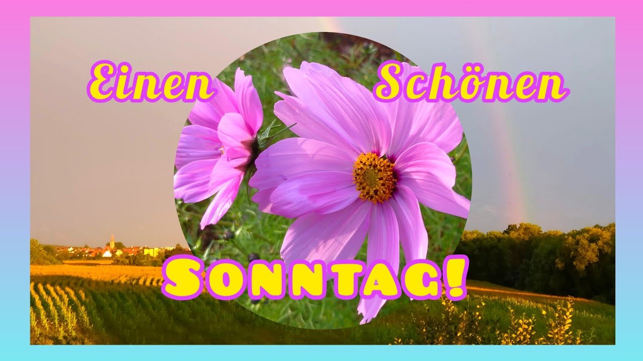 Liebe Grüße💖 zu einem wunderschönen Sonntag mit viel Spaß und guter Laune☀️💐 Sonntagsgrüße für Dich💞