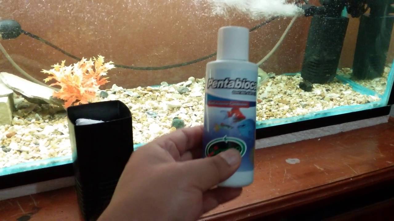 Ciclado del acuario ... que es y como ciclarlo rápido y sin mentiras ...