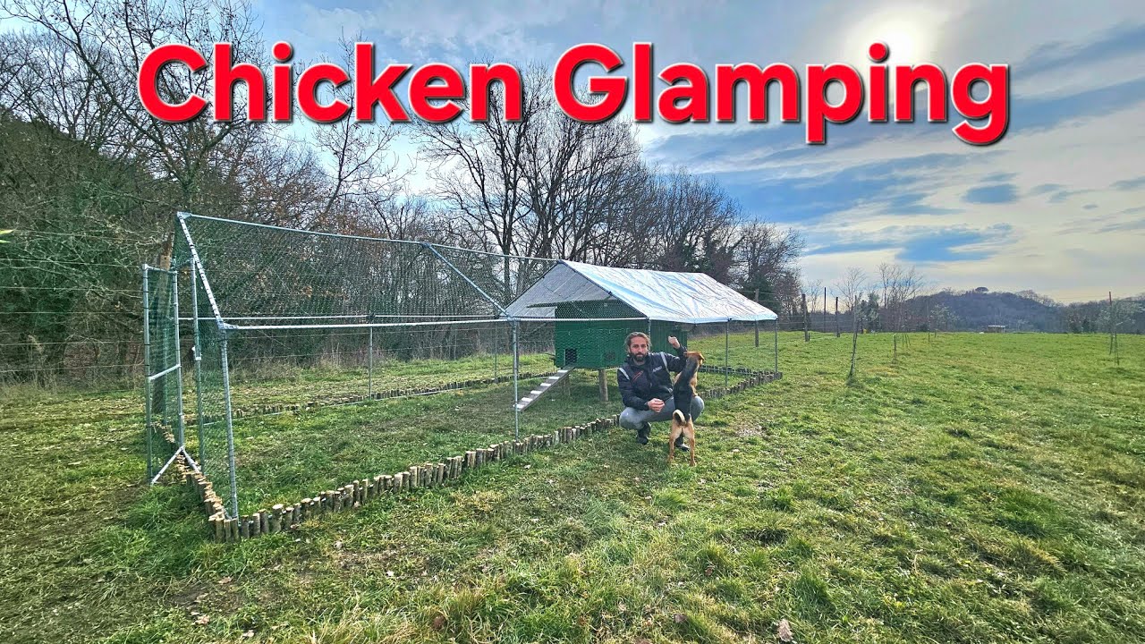 Come realizzare un pollaio accogliente e ben organizzato per le nostre galline
