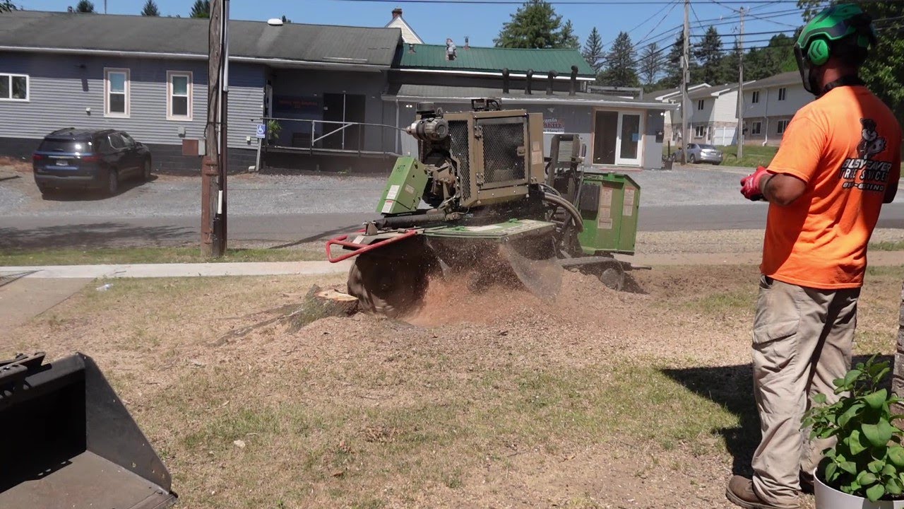 Busy Beaver Stump Grinding and Difficult Tree Removal