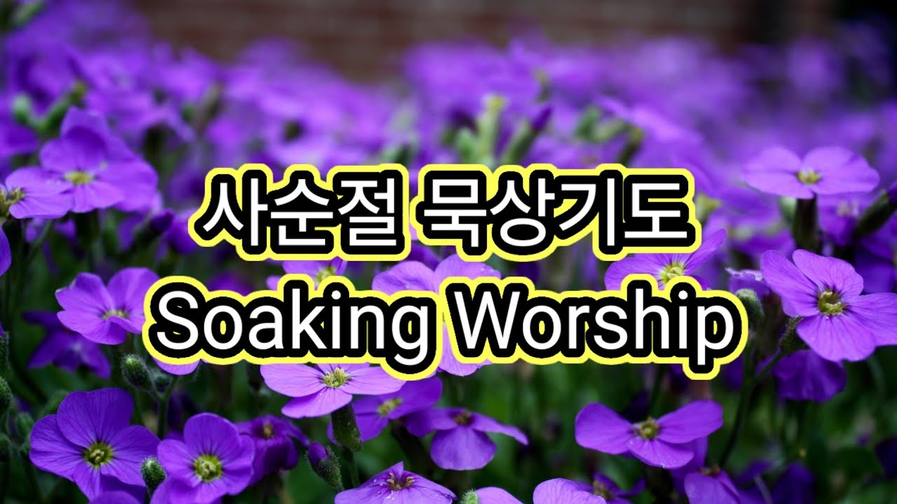 사순절 묵상: 예수님이 걸어가신 그 발자취를 그리며Soaking Worship with Oboe