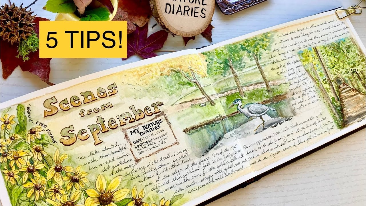 How to Storytell through Art in your Nature Journal
