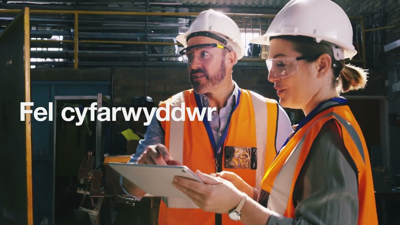Bod yn gyfarwyddwr cwmni