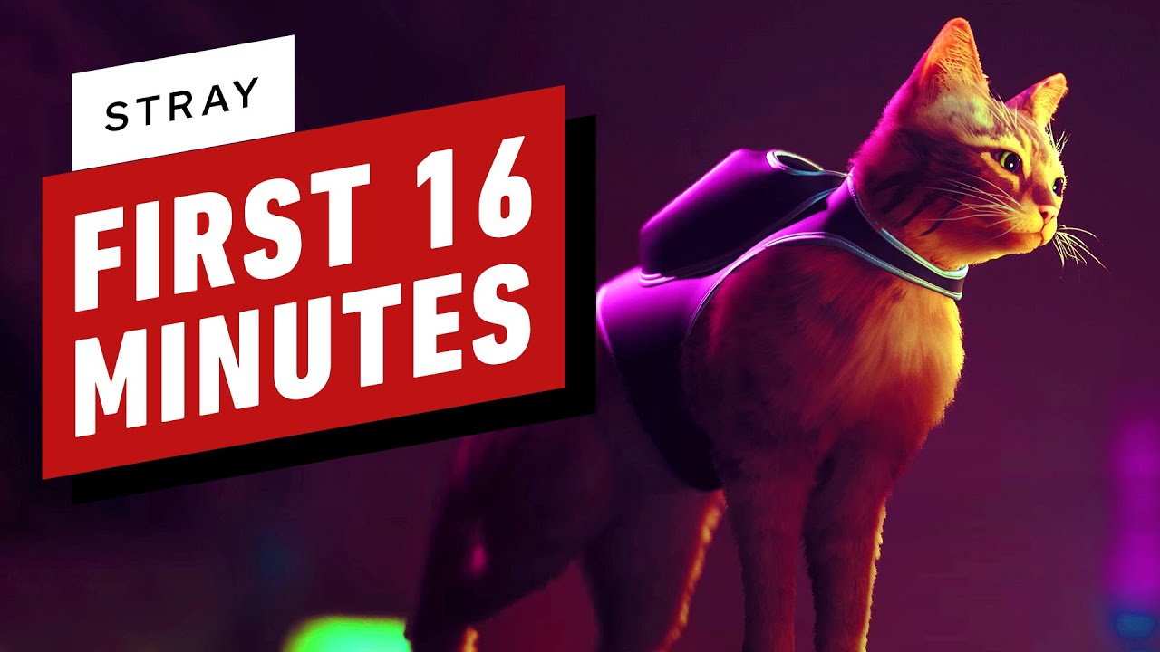 Stray: The First 16 Minutes of Gameplay on PS5 (4K)