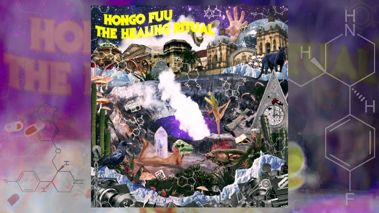 Hongo Fuu - 