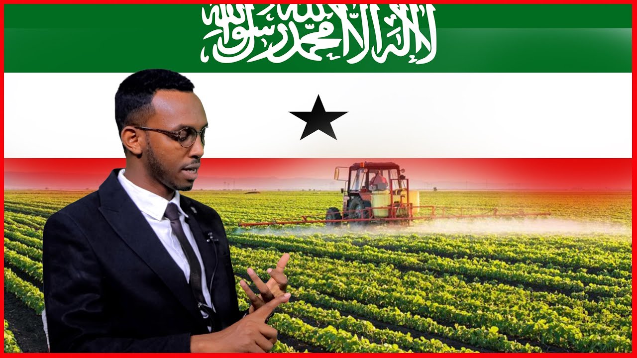 Maxay yihiin dhibaatooyinka saameeyay waxsoosaarka beeraha ee somaliland