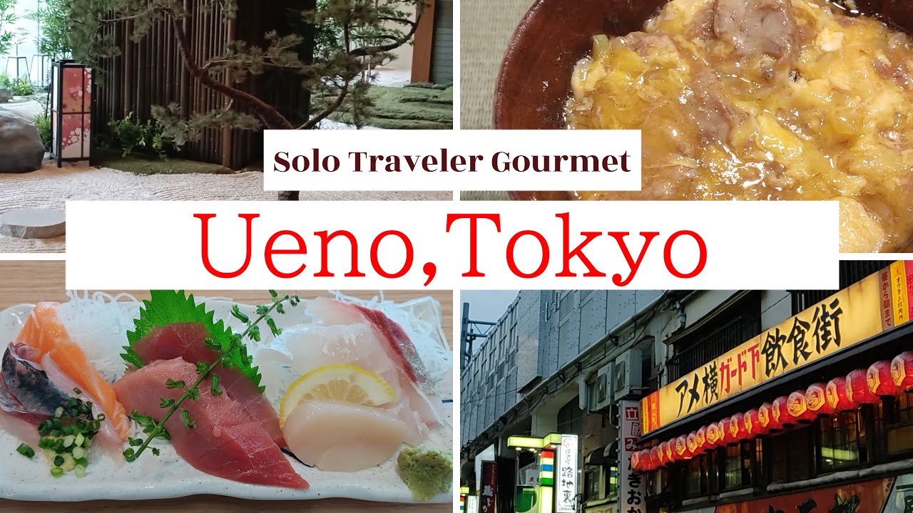 Ueno,Tokyo  Solo Travel. Recommended hotels and restaurants at Ueno Station.