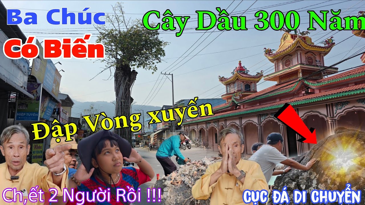 Có Biến Tại Cây Dầu Và Tản Đá Hơn 300 Năm Tuổi Nằm Giữa Đường...Cục Đá Biết Di Chuyển 