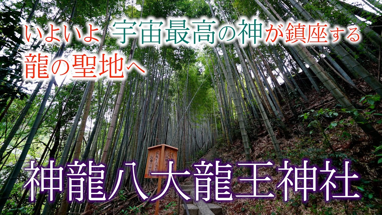 【神龍八大龍王神社】芸能人もお忍びで通う 龍の聖地へご案内