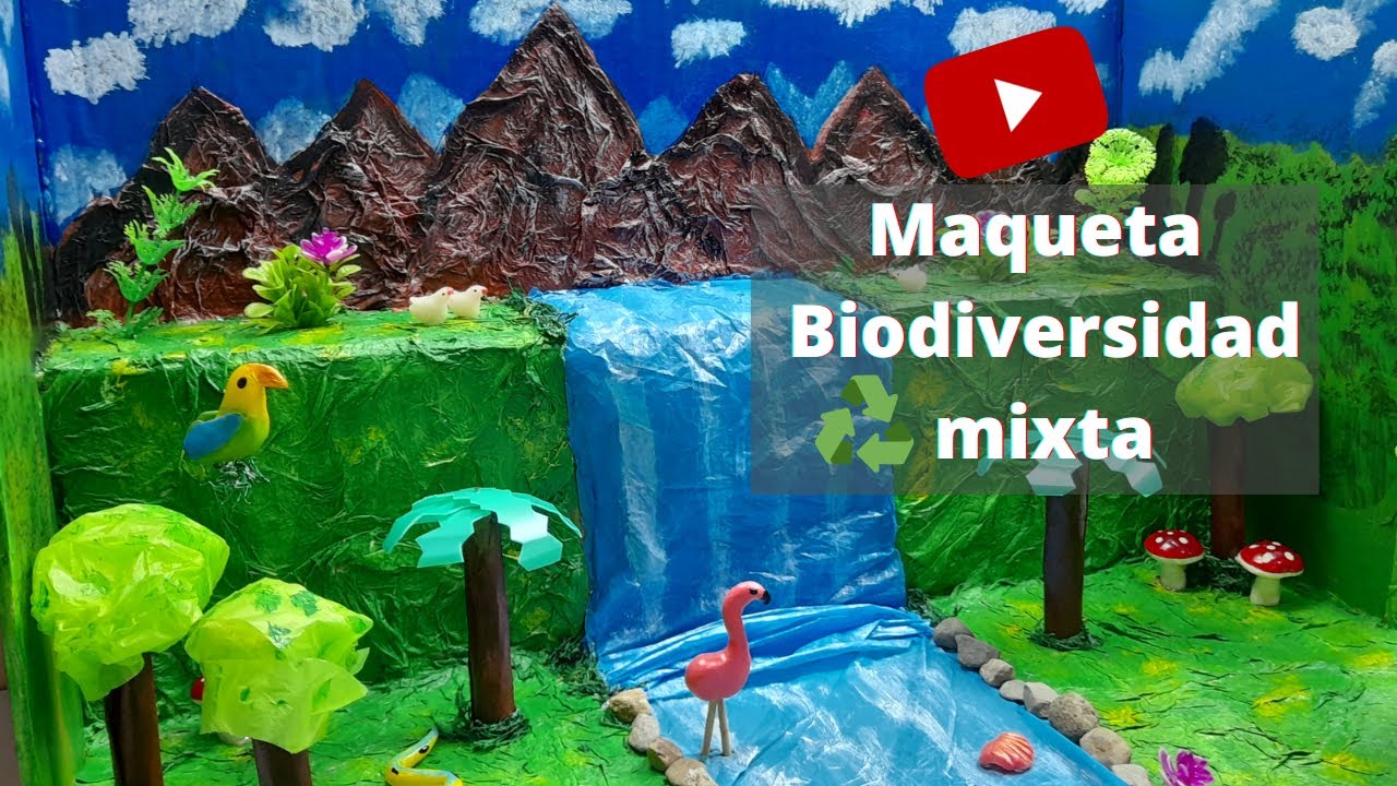 Maqueta de la Biodiversidad mixta ♻🤩MVRC♻