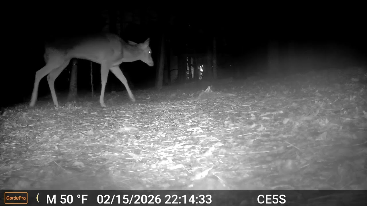 Cain cam 260216 E5S