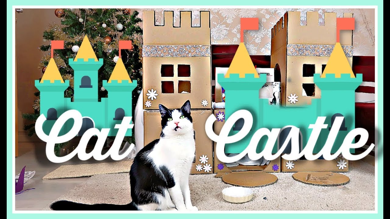 Построихме 🏰 ЗАМЪК 🏰 от КАШОНИ на котето Прасчо!