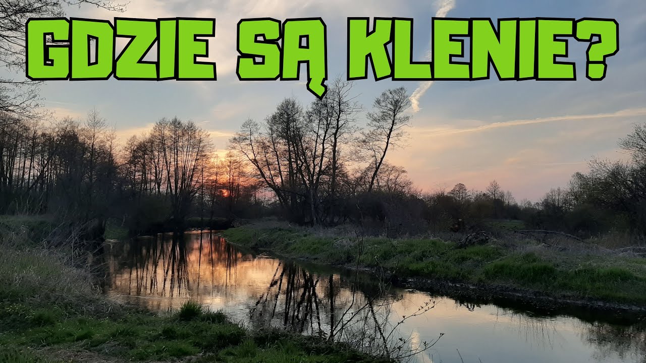 w poszukiwaniu KLENI i JAZI, wiosna nadeszła / odc. 166