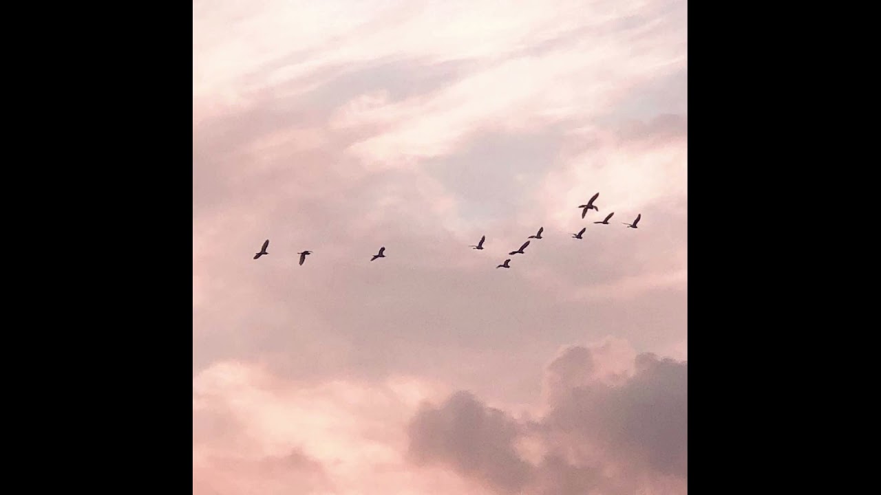 [FREE] Keshi x Nelick Type Beat - 