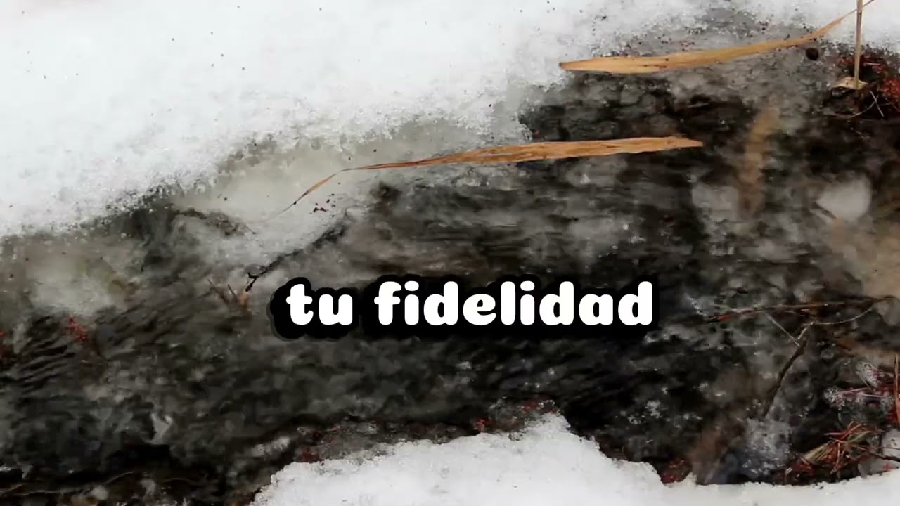 Digno - Pablo Rodríguez 