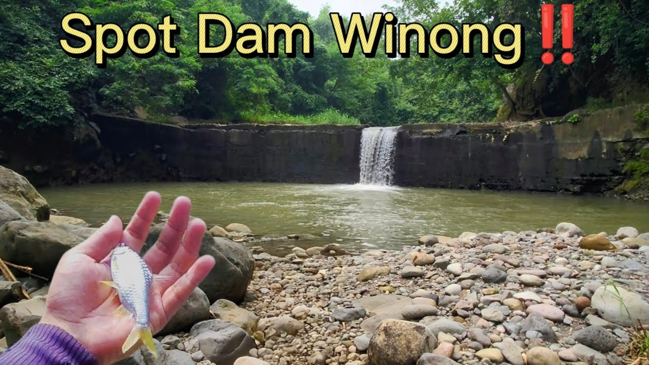 Spot Microfishing Di Pedalaman Hutan‼️(Adventure Mancing)