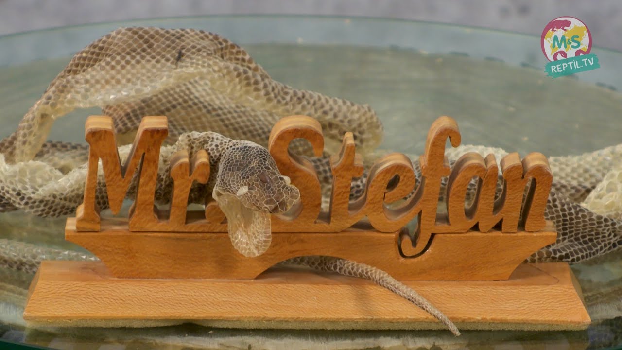 Reptil TV - Folge 67 - Häutung bei Reptilien