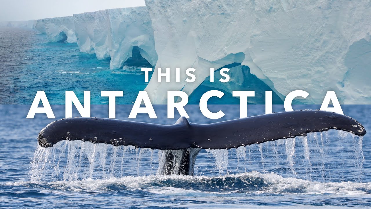 This is Antarctica • 4K Scope