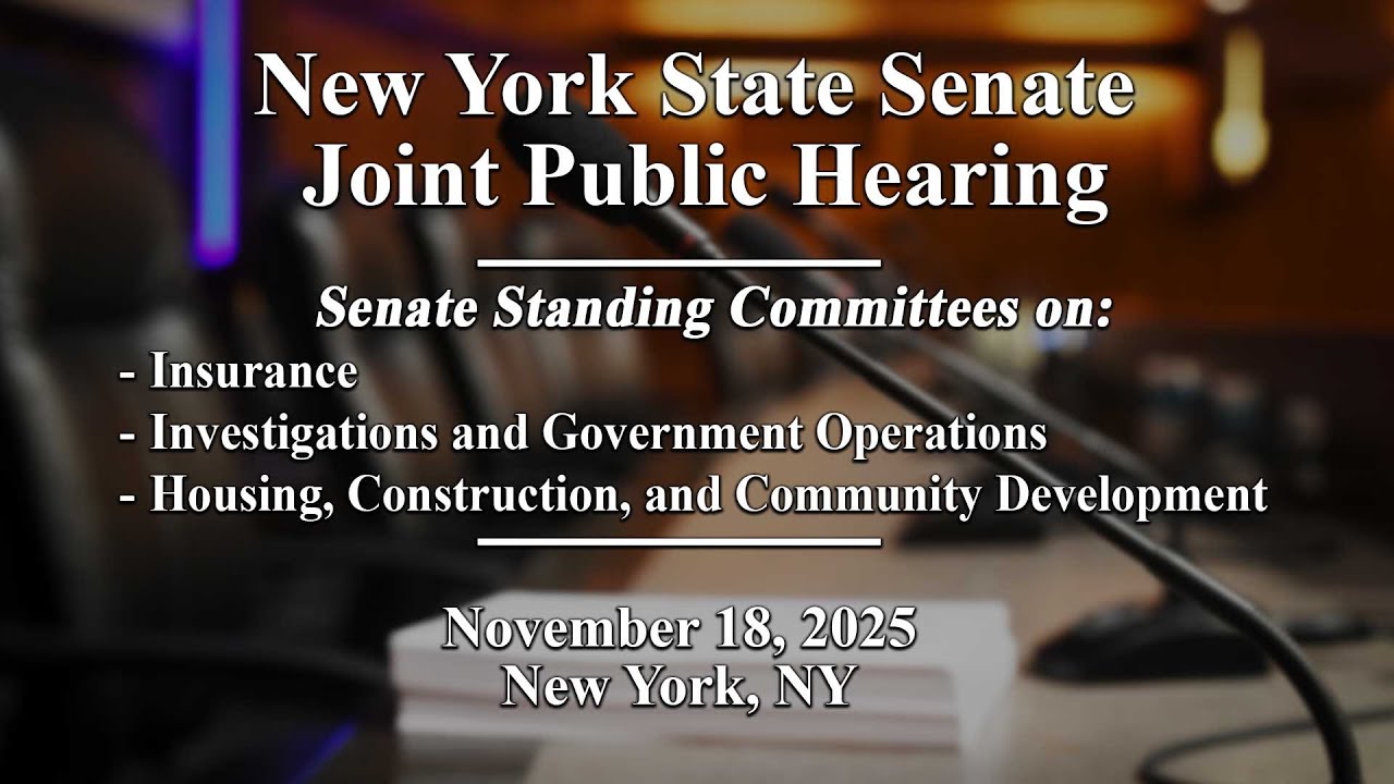 New York State Senate Joint Public Hearing - 11/18/2025