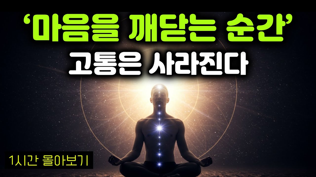 마음을 탐구하지 않으면, 평생 속는다 | 고통을 없애는 유일한 길=마음을 아는 것 | 마음이 근본이다 | 마음을 깨닫는 순간, 고통은 사라진다  #부처님말씀