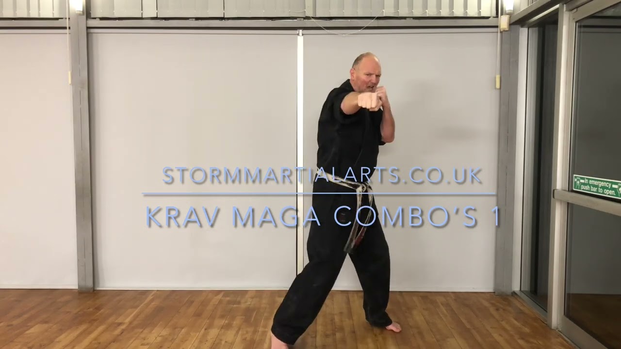Krav Maga / Street Kickboxing Combos