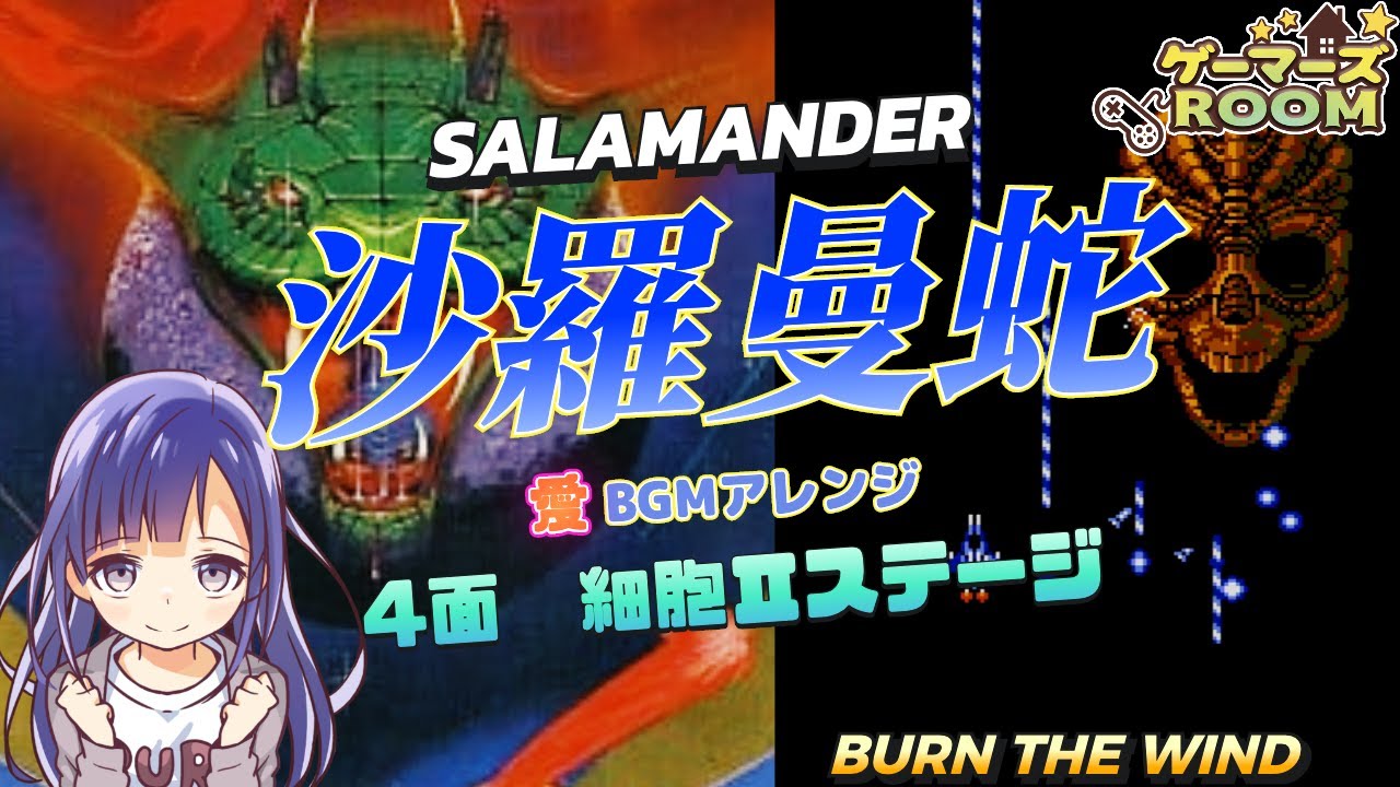 【FC】沙羅曼蛇　4面細胞Ⅱステージ　Burn the Wind【BGMアレンジ】