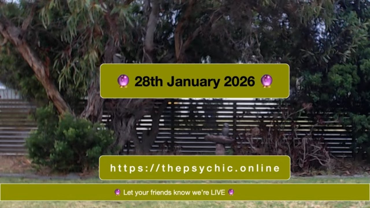 🔮 28th January 2026 🔮 The Card Reading for Today