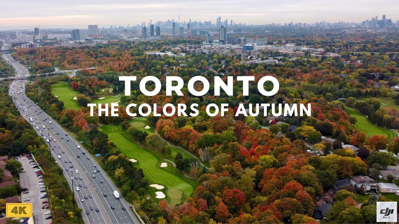 The Colors of Autumn in Toronto [4K Drone Video] | DJI Mini 2