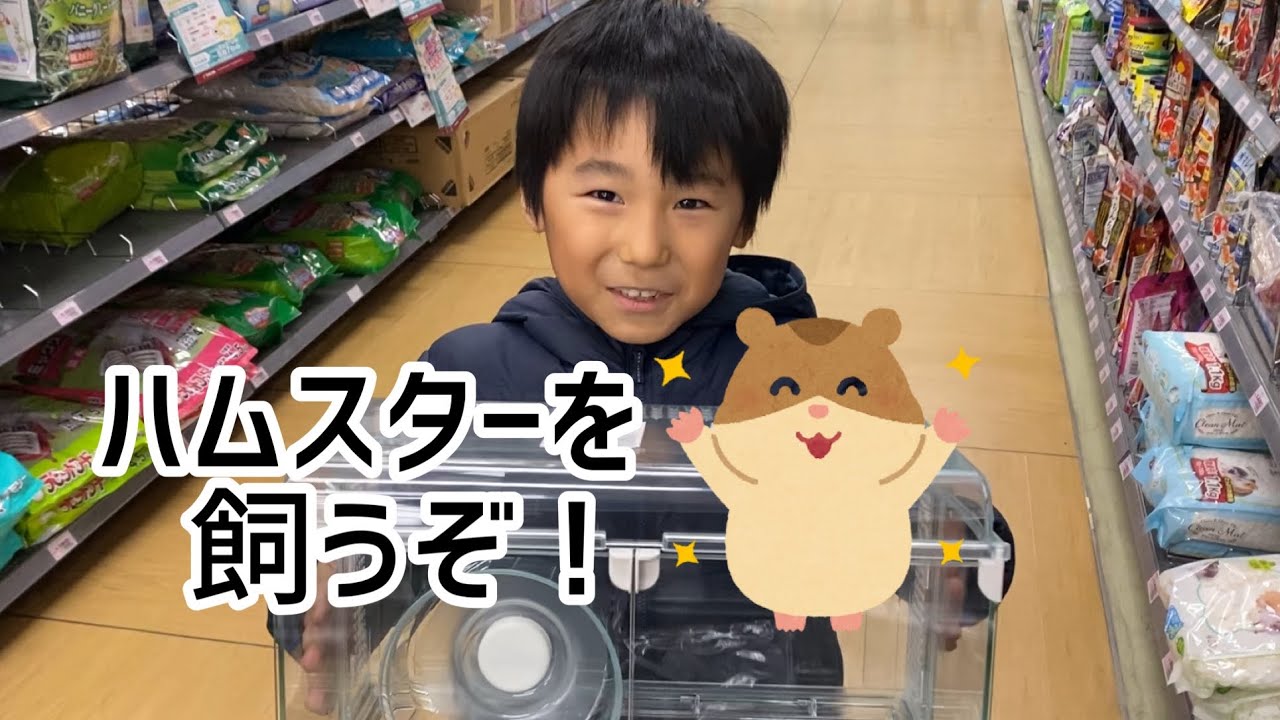ハムスターを飼います！物の買い出しから、お迎えして、手に乗せるまで