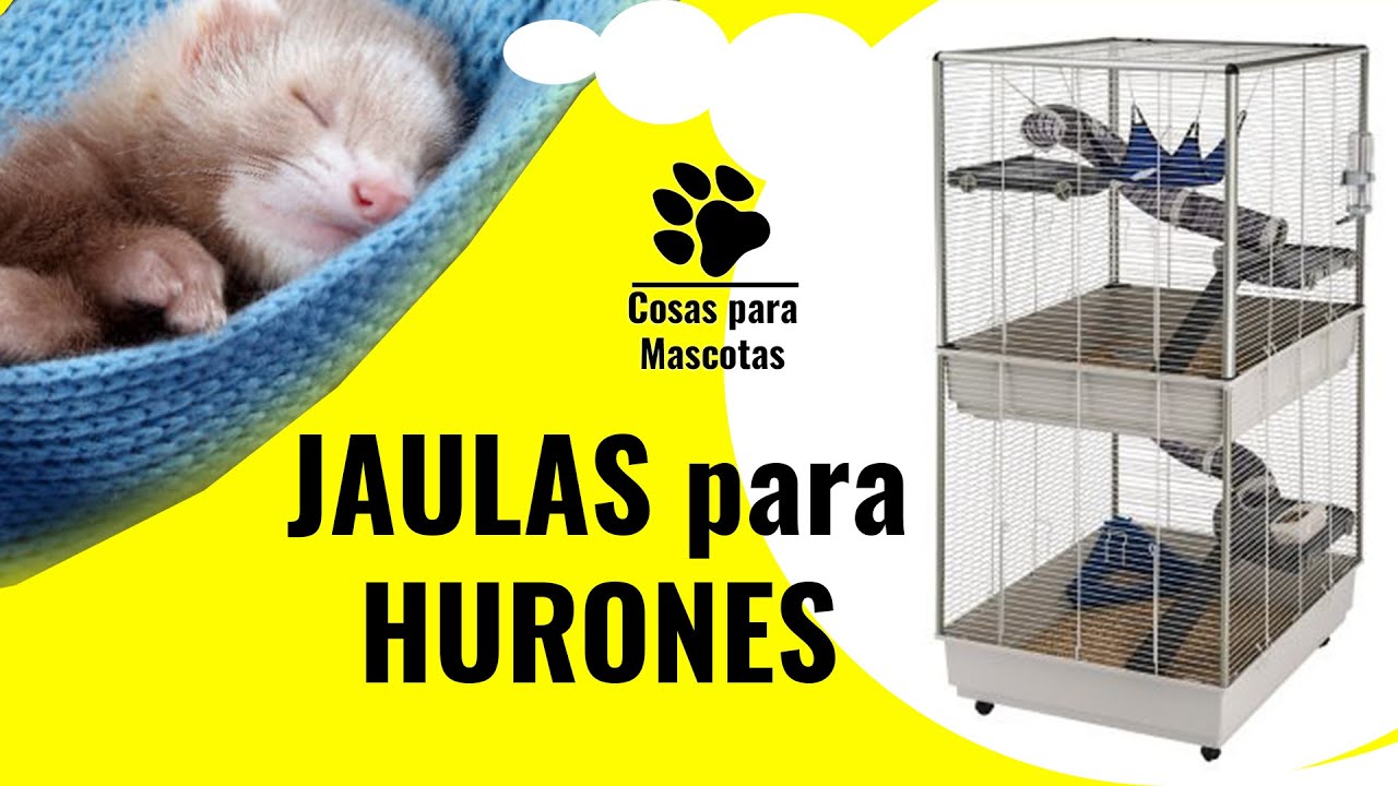 👉👉 TOP 3 Las mejores JAULAS para HURONES | ✅ ¿Cuál es la mejor jaula para mi hurón?
