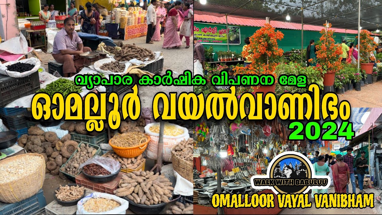 ഓമല്ലൂർ വയൽ വാണിഭം | വ്യാപാര കാർഷിക വിപണന മേള | omalloor vayal vanibham #2024 #culturalfest