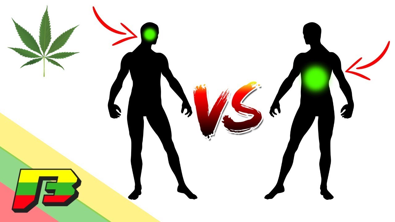 Head High VS. Body High | BammerTV