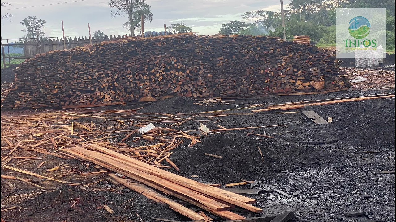  OTP‑OI CAM, un outil clé pour lever le voile sur la filière bois camerounaise