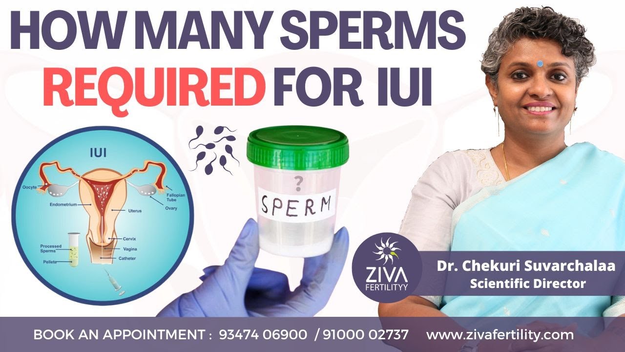 IUI for Male Factor Infertility || IUI Success Rates || Dr C Suvarchalaa || ZIVA Fertilityy