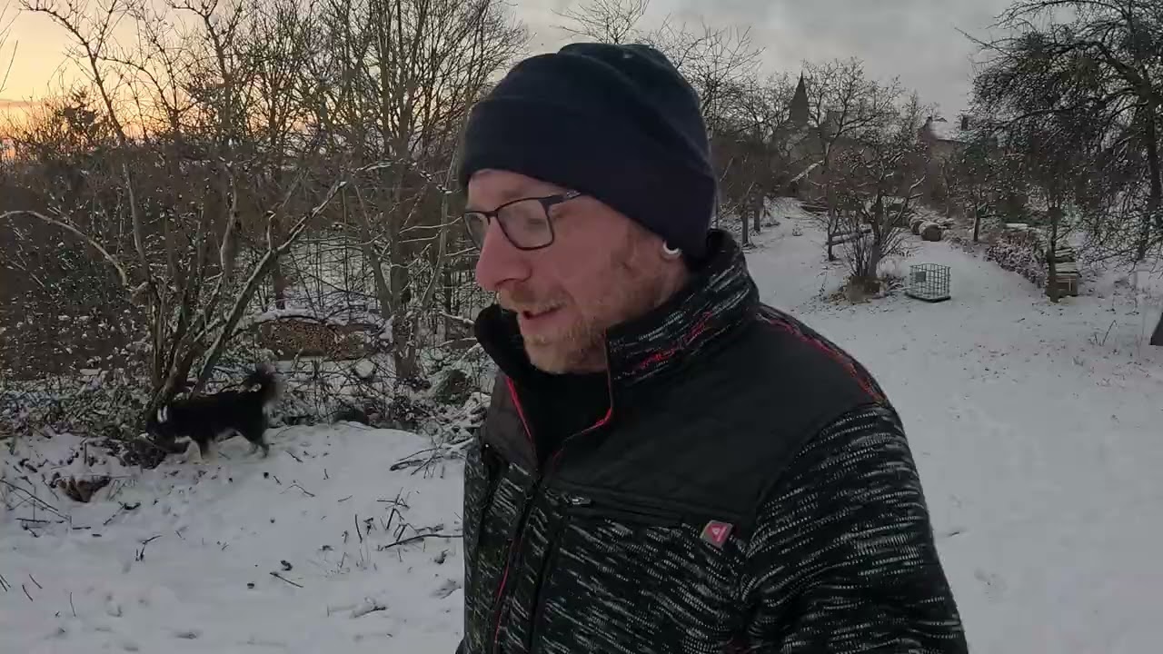Brennholz 2026: So kriegst du es wirklich g&uuml;nstig! 🪵