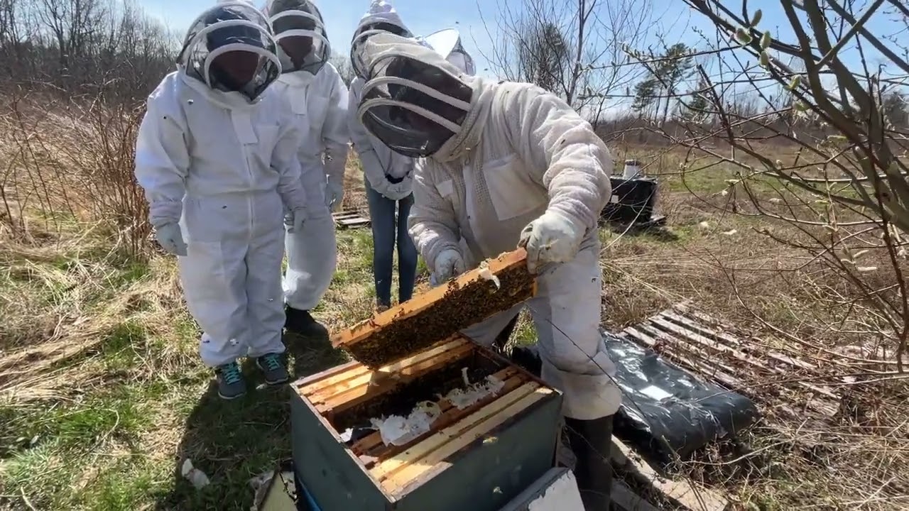 Beekeeping for Beginners Class