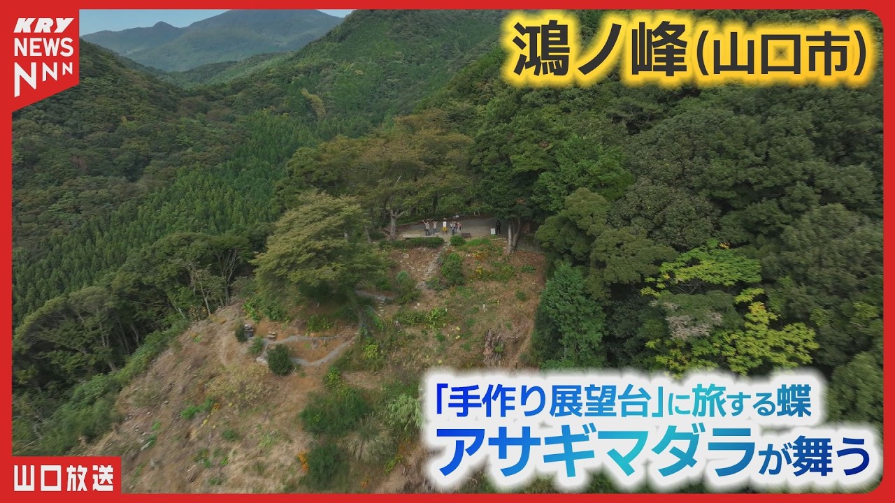 旅するチョウ・アサギマダラの舞う展望台が魅せる・人々のつながりと自然の力／山口県山口市鴻ノ峰