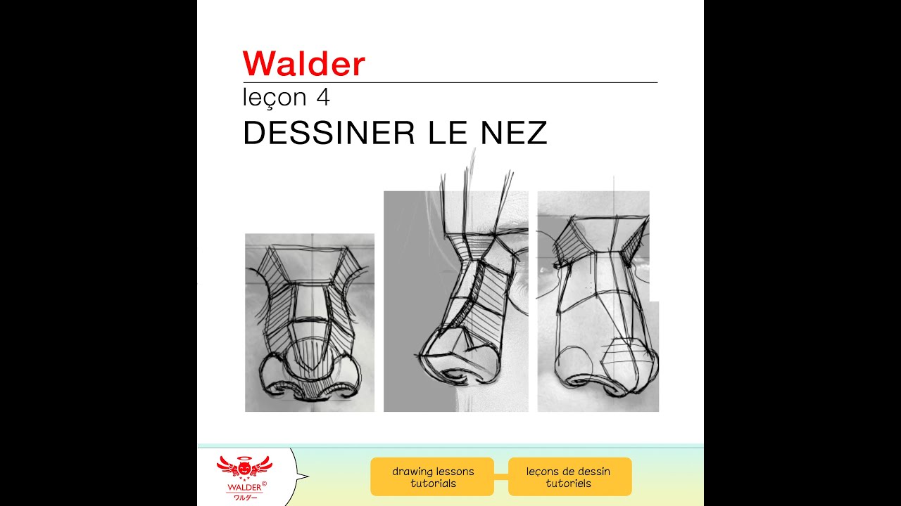 leçon 4 - Comment dessiner le nez - Walder Johan