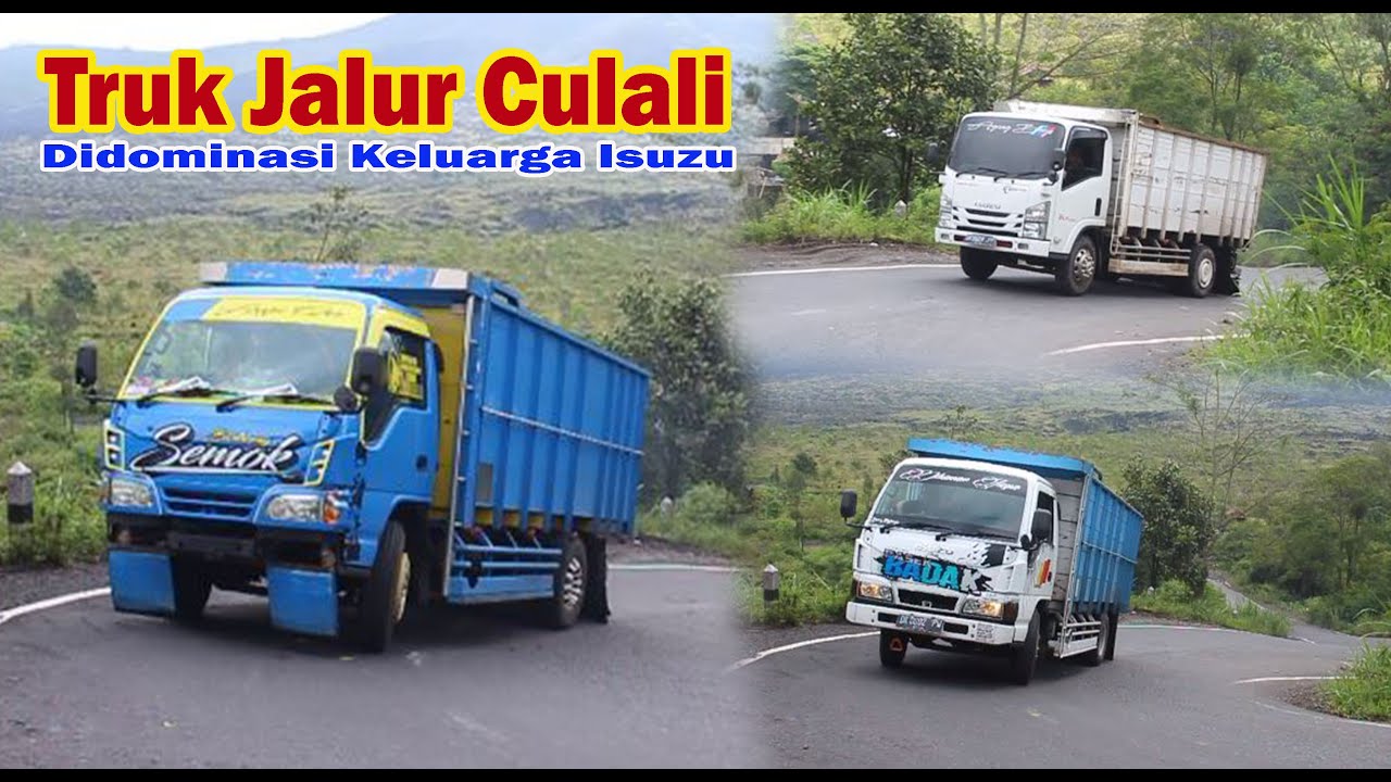 Didominasi Keluarga Isuzu || Perjuangan Driver Lewati Tanjakan Culali
