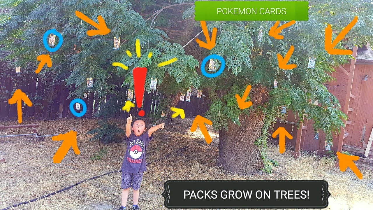POKEMON CARDS GROW ON THIS TREE!! We Found A Hidden Wonder!! MOST Craziest Video You Will Ever See!!