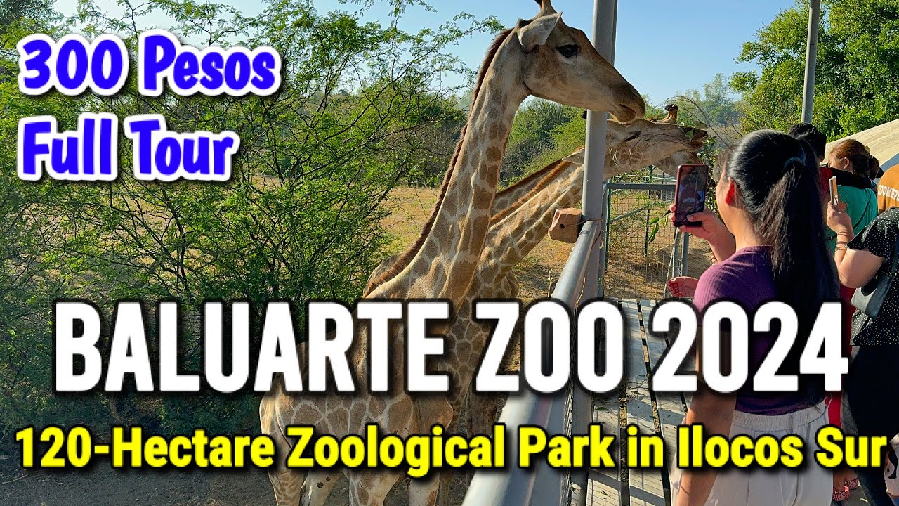 BALUARTE ZOO 2024 Full Tour in Ilocos Sur, Philippines | 120 Hectares Zoological Park in Vigan City!