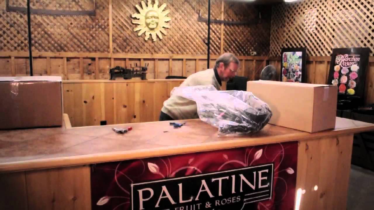 Receiving Your Palatine Roses