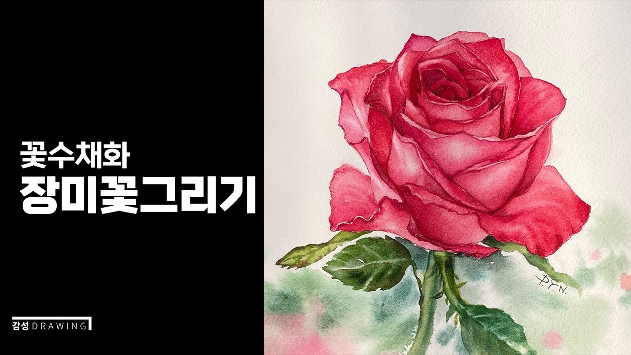 장미꽃 그리기/꽃수채화/빨간 장미