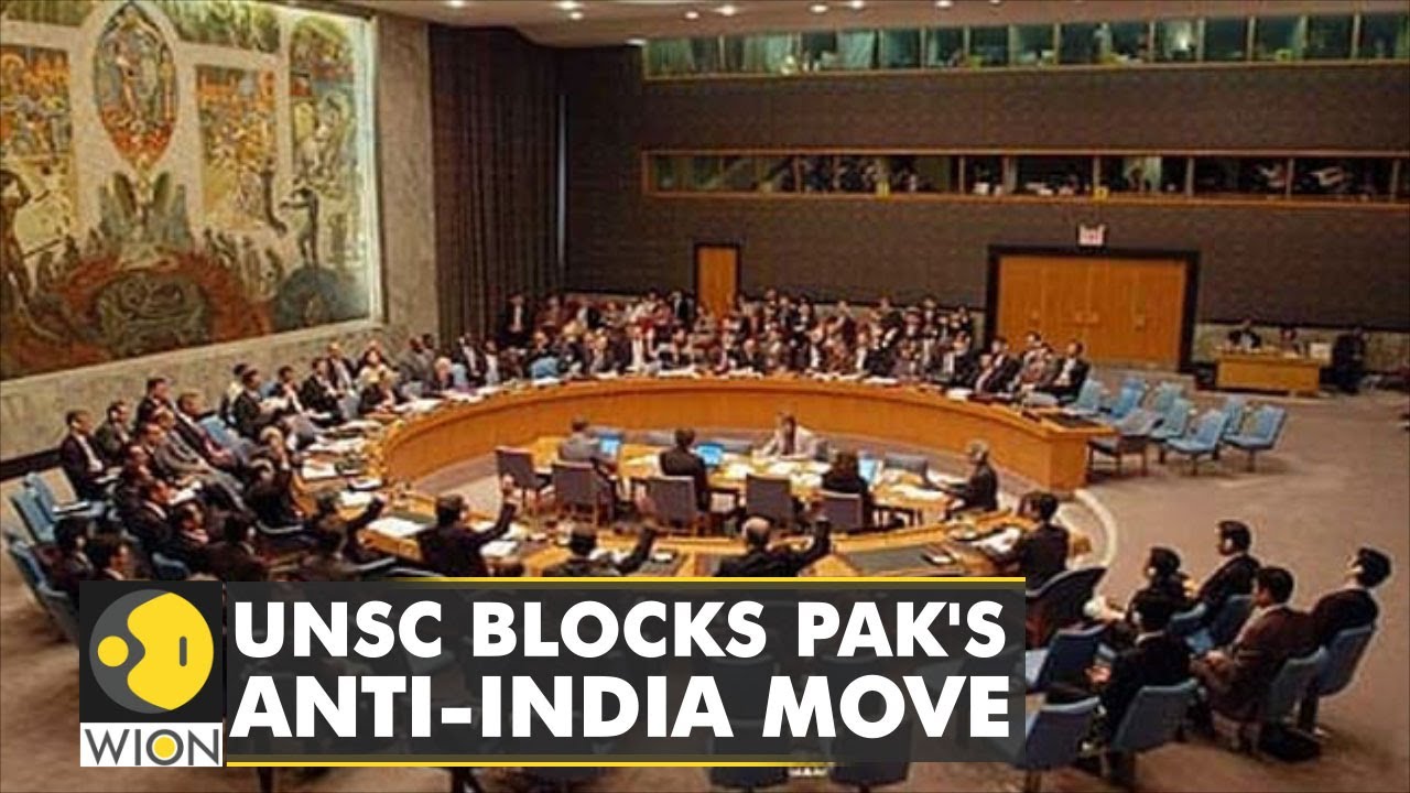 UNSC members reject Pakistan's attempt to list Indian national as terrorist | WION Dispatch