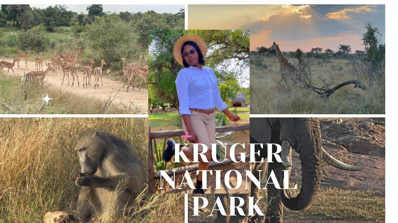 SPEND A DAY WITH US AT KRUGER NATIONAL PARK || SELF DRIVE @KrugerNationalParkSA 