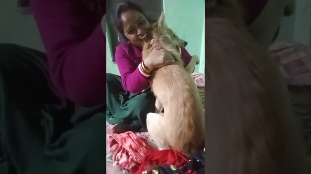 আমার সোনা বাবার রাগ হয়েছে আমার উপর 😍🥰😘|| #viralvideo #dog #doglover