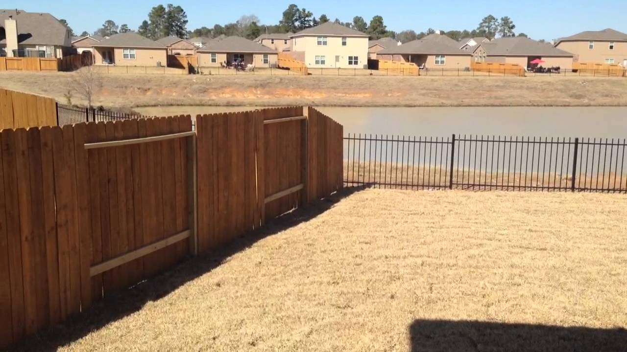 backyard grilling