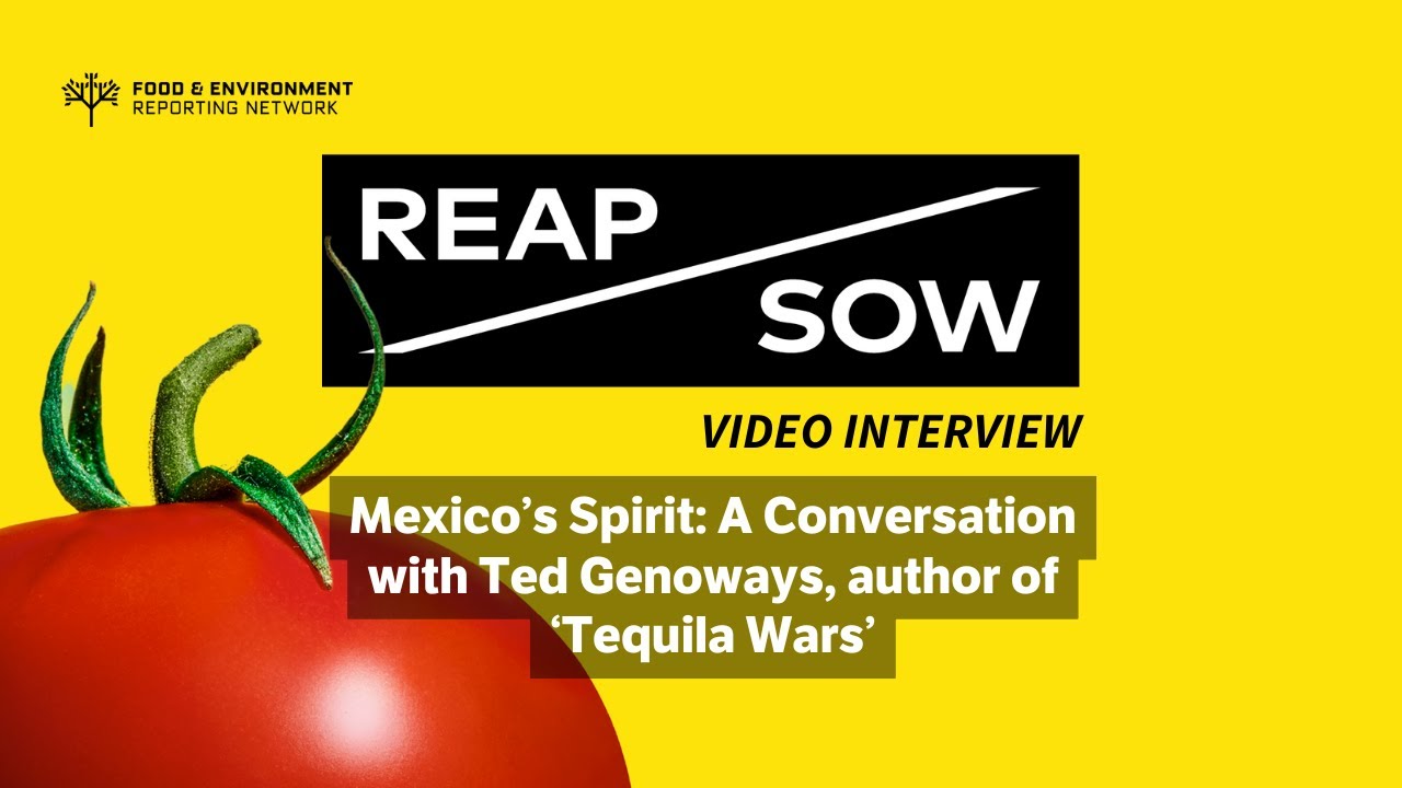Mexico’s Spirit: A Conversation with Ted Genoways, author of 'Tequila Wars'
